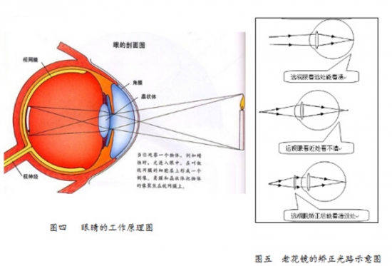 美麗島眼鏡：老花鏡不可隨意亂帶，需要在專業(yè)驗(yàn)光后科學(xué)配制