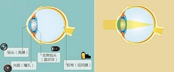怎么佩戴老花鏡？驗光 品牌 質量 保養(yǎng)一個都不能少