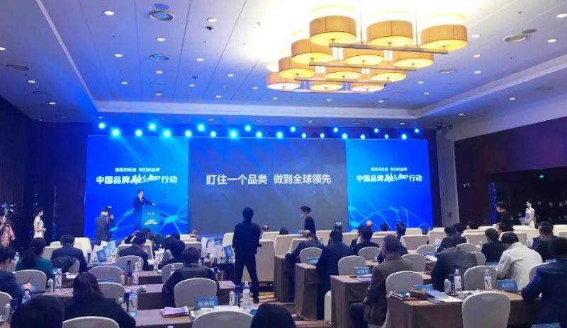 定了！美麗島進了國家隊，新華社專訪