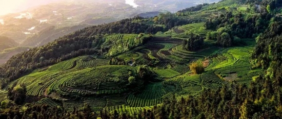 美麗島多焦鏡：這個(gè)明凈新春，以時(shí)間為軸，扶搖直上